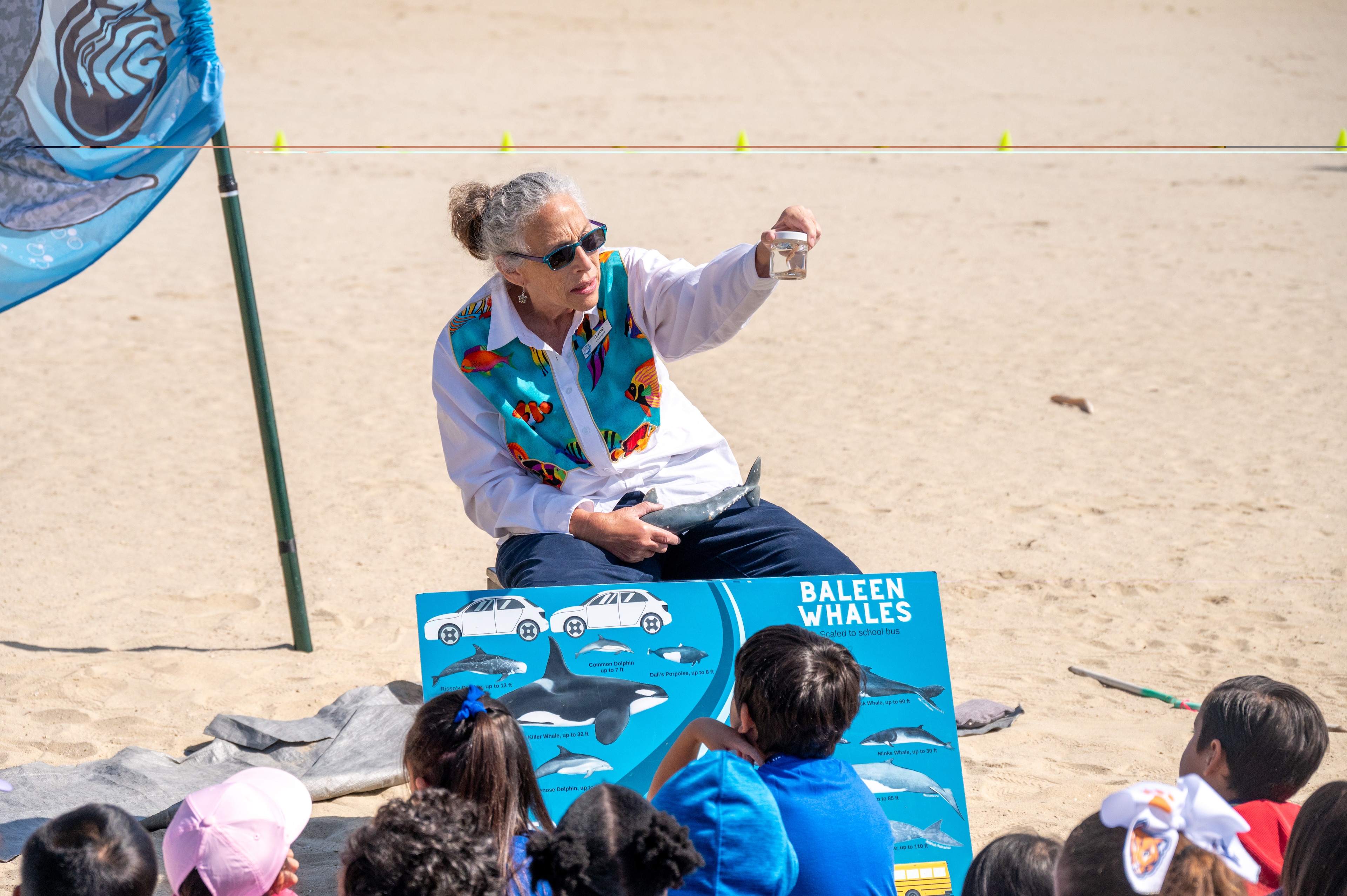 volunteer programs