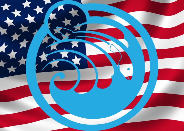 American flag with aquarium logo