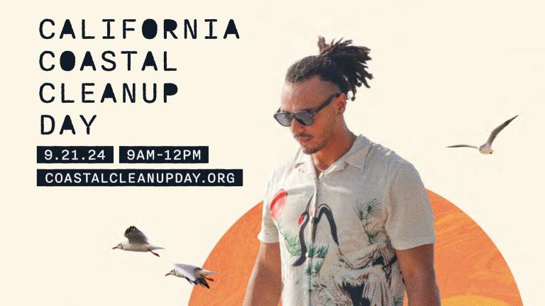 coastal cleanup event