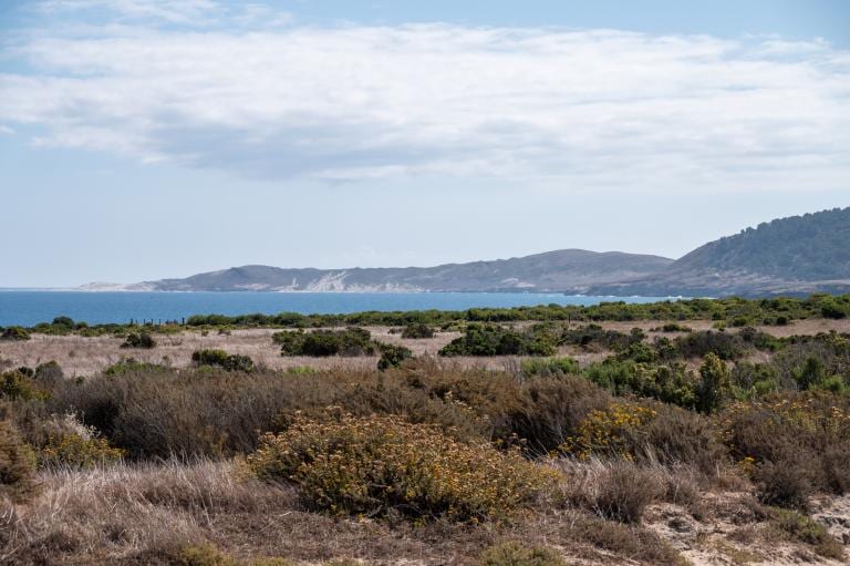 Santa Rosa Island