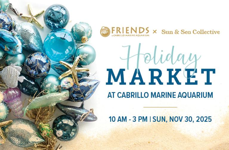 holiday market banner