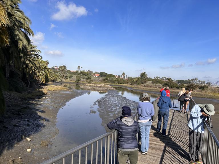 Salt Marsh Open House