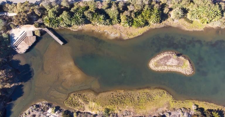 salt marsh aerial photo