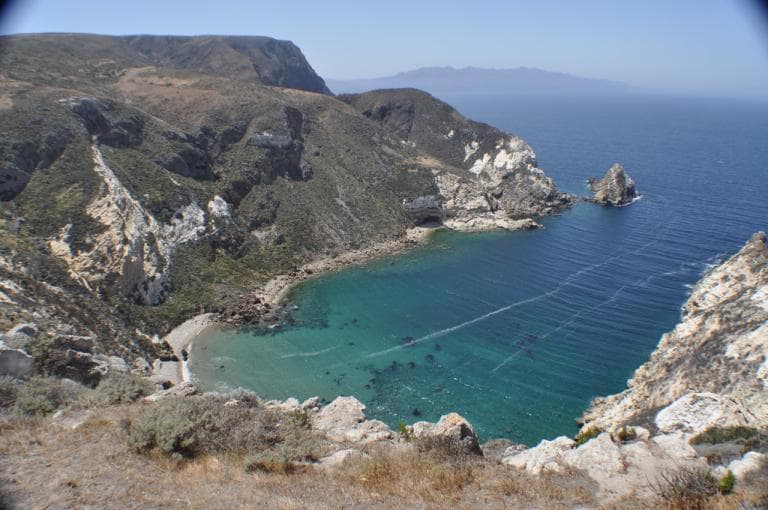 Santa Cruz Island