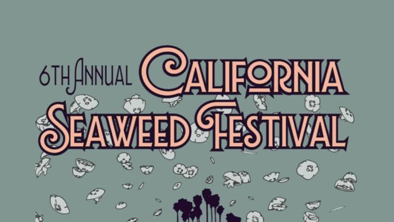 seaweed fest logo