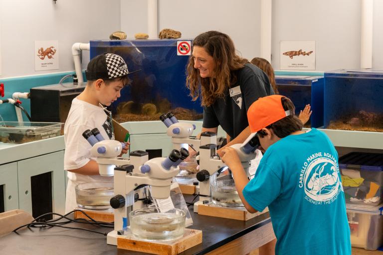 Kids looking through microscopes