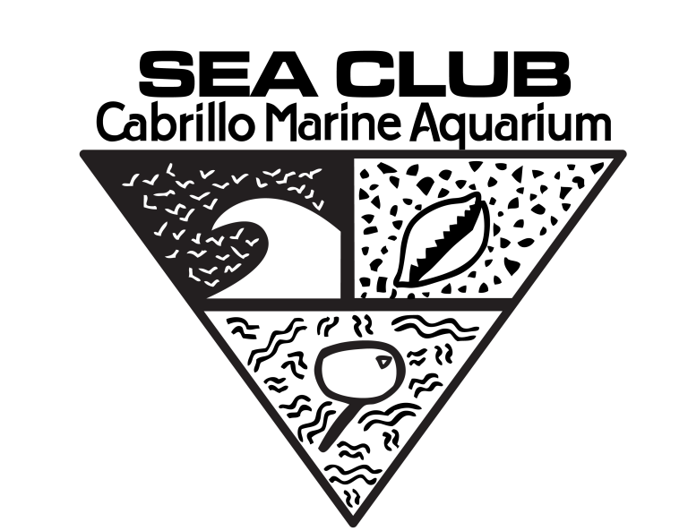 Sea Club Logo